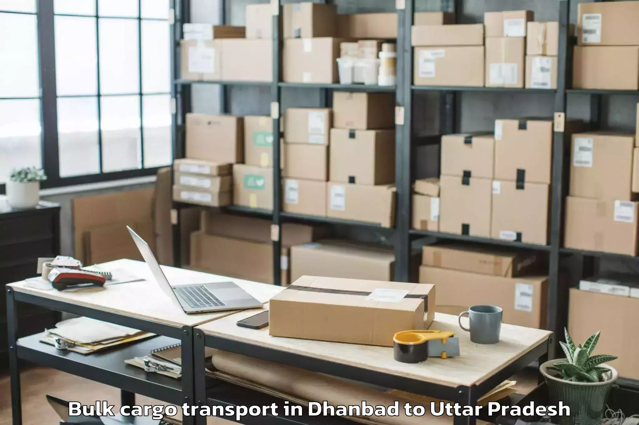 Book Dhanbad to Mahgawan Bulk Cargo Transport Online